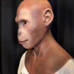 tim realistic bald elderly male silicone mask with stubble handcrafted old man headgear for cosplay, disguise & film fx (copy)