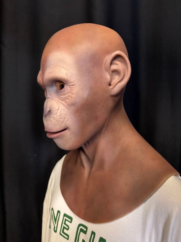 tim realistic bald elderly male silicone mask with stubble handcrafted old man headgear for cosplay, disguise & film fx (copy)