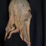 Davy Jones octopus monster silicone mask with realistic suction cup tentacles for film FX and Halloween cosplay