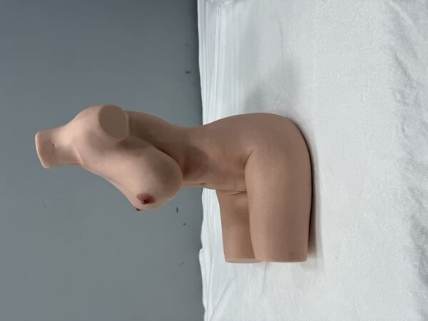 cd 9.2kg realistic silicone female torso us warehouse fast shipping (copy)