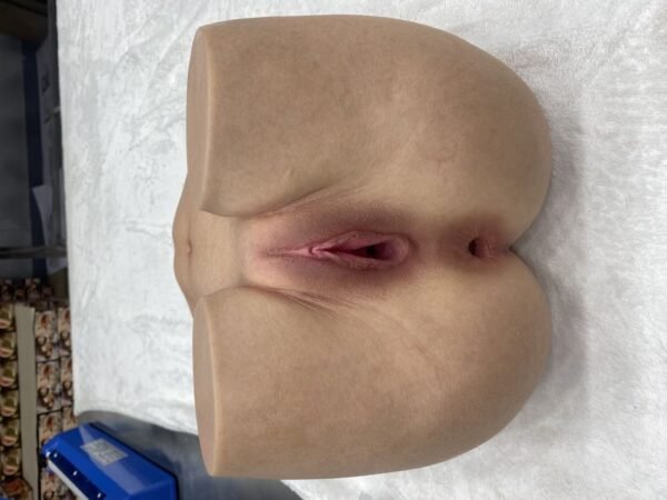 co 14kg (30.9 lbs) realistic silicone female torso us warehouse fast shipping (copy)