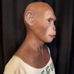 tim realistic bald elderly male silicone mask with stubble handcrafted old man headgear for cosplay, disguise & film fx (copy)