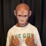 tim realistic bald elderly male silicone mask with stubble handcrafted old man headgear for cosplay, disguise & film fx (copy)